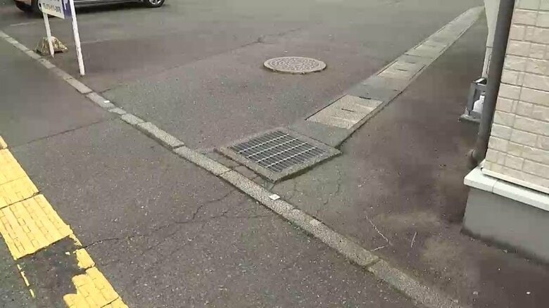 草取りしていた女性、車にはねられ死亡　岩手県盛岡市｜FNNプライムオンライン