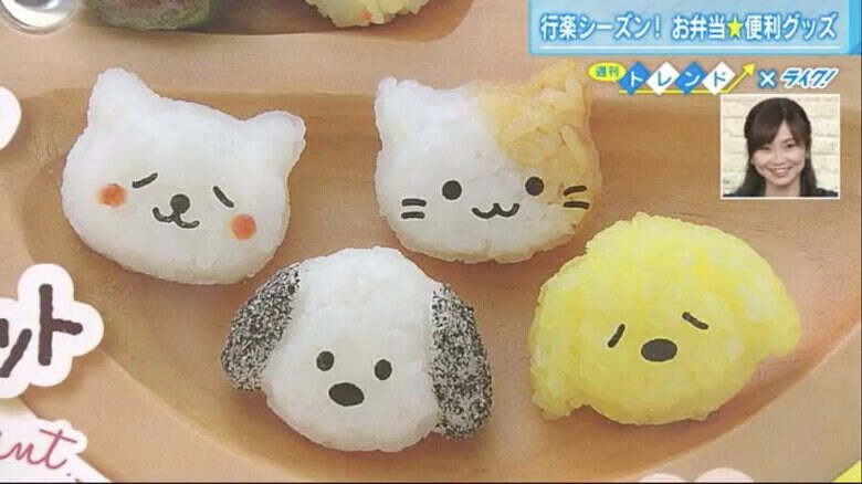 「わんにゃんミニミニおにぎりセット」で作ったおにぎり