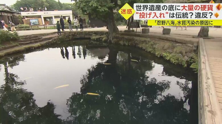 池の底に見えるのは…