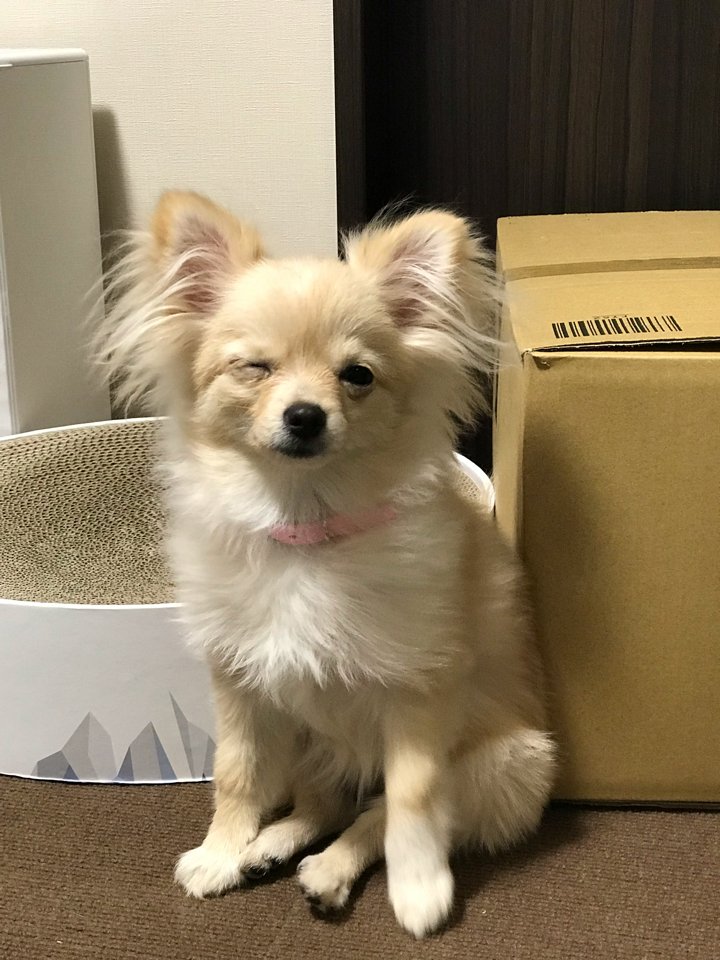 ウインクが可愛い