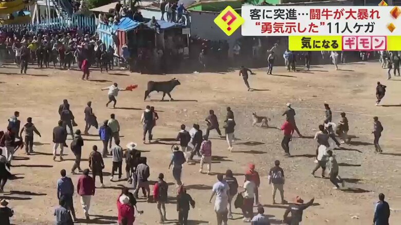 挑発しながら牛を避ける参加者たち