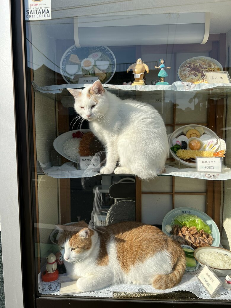 ペタ郎くんが下が定位置だという