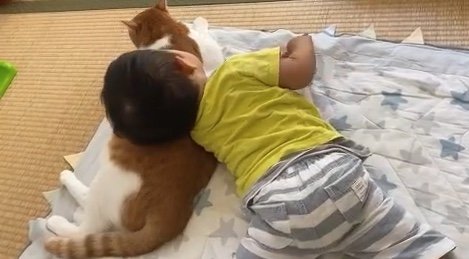 提供：Hassakuさん