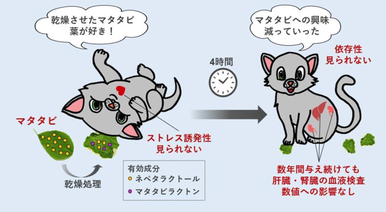 （出典:岩手大学）