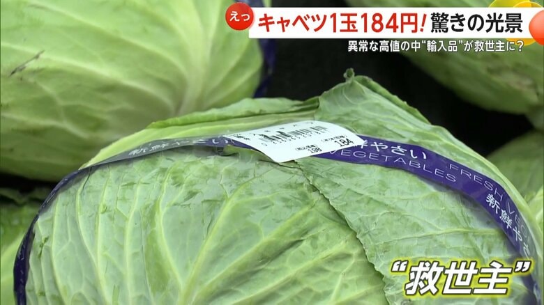 1玉184円と書いてある中国産キャベツ