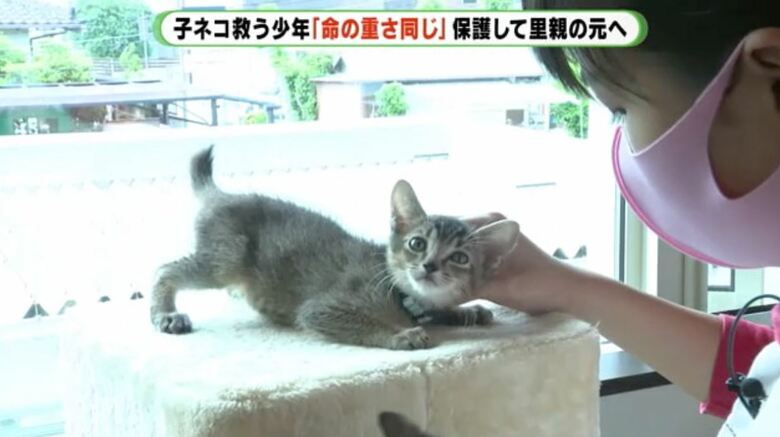 子ネコ1匹1匹に声をかける朔さん