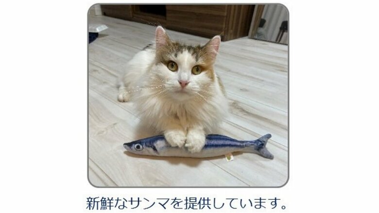 鮮度を徹底（「厚生労働省食品安全情報」公式Twitterより）