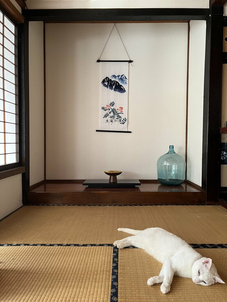 床の間と猫