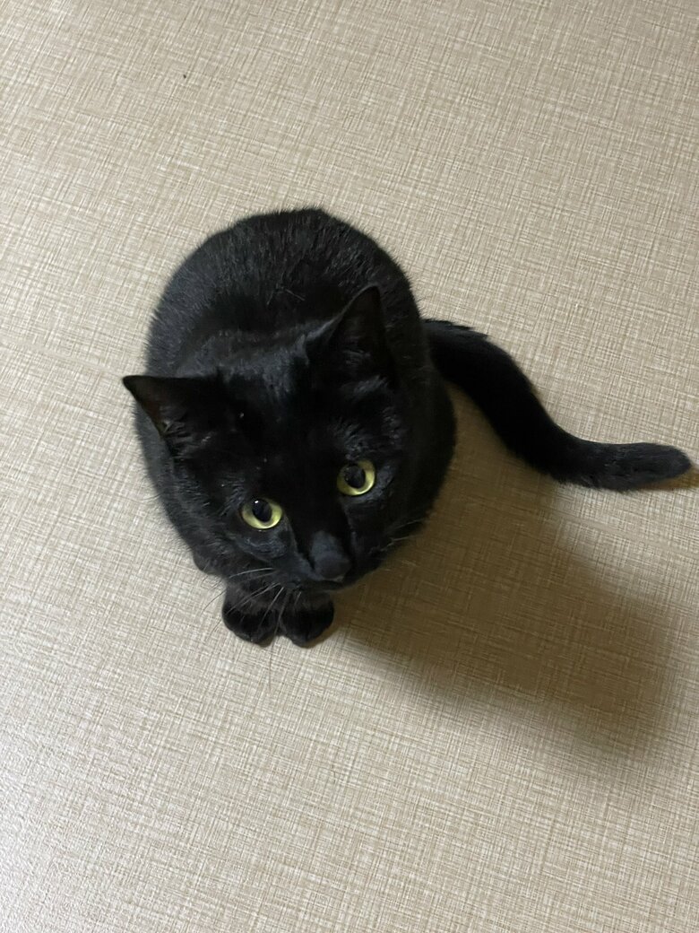 提供：マクーさん