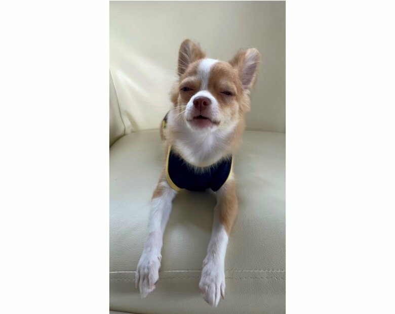 提供：ふくのすけさん