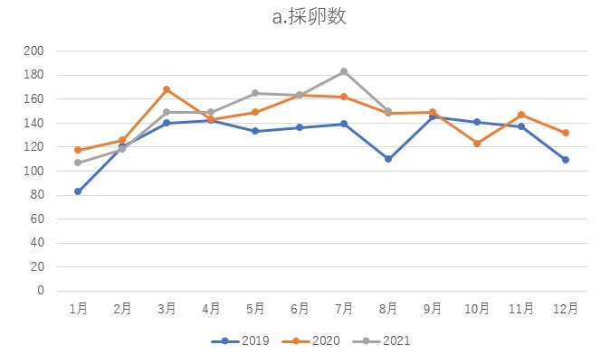 図４：採卵数比較
