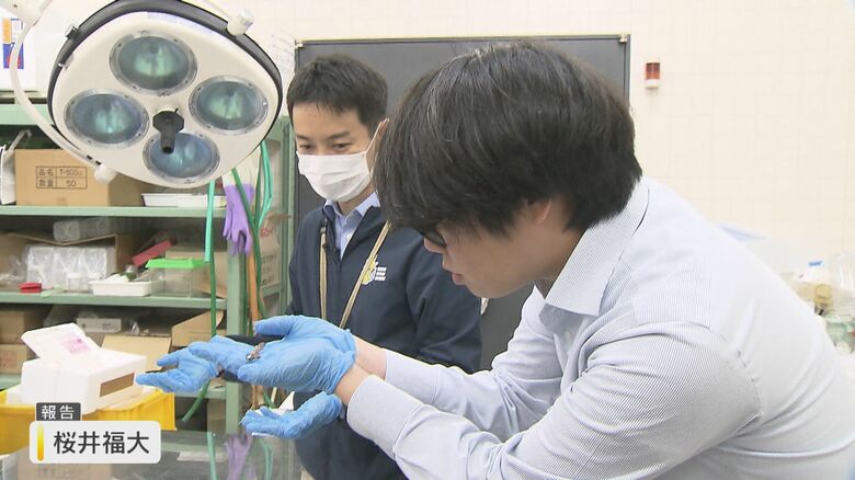 桜井記者も触ってみると…