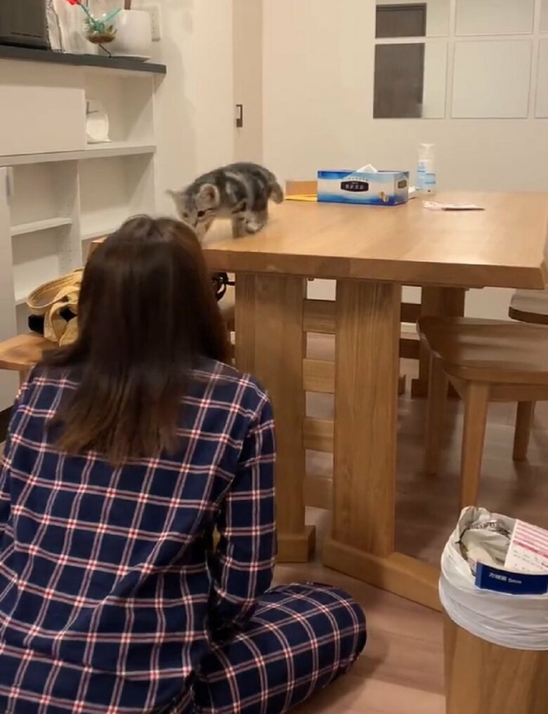 飼い主さんが顔を出すも目の前には既にあんこくんが