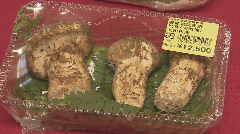 ようやくピーク