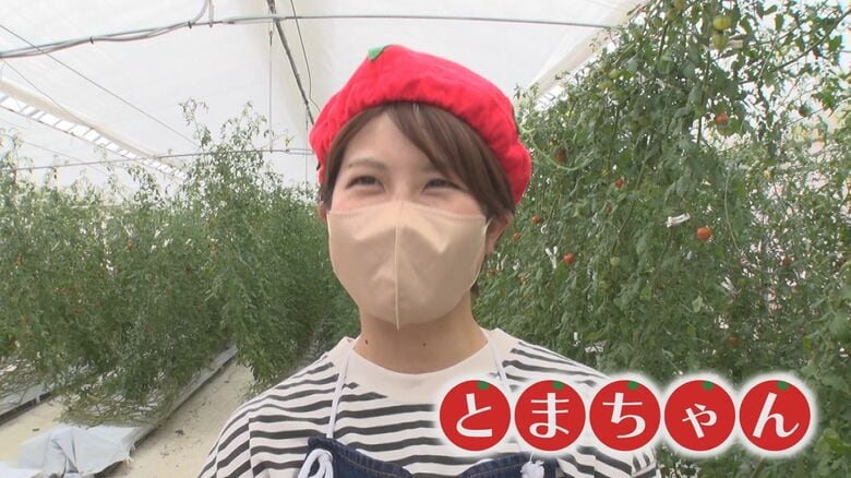 ベジ・アビオ　山﨑珠樹さん