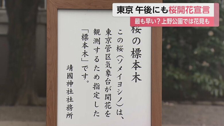 靖国神社の桜の様子（14日午前 東京･千代田区）
