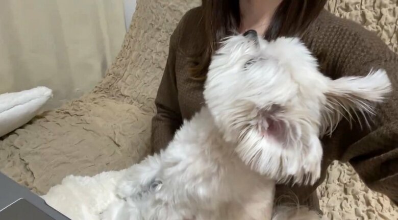 「僕よりオシゴトが大事なの？」