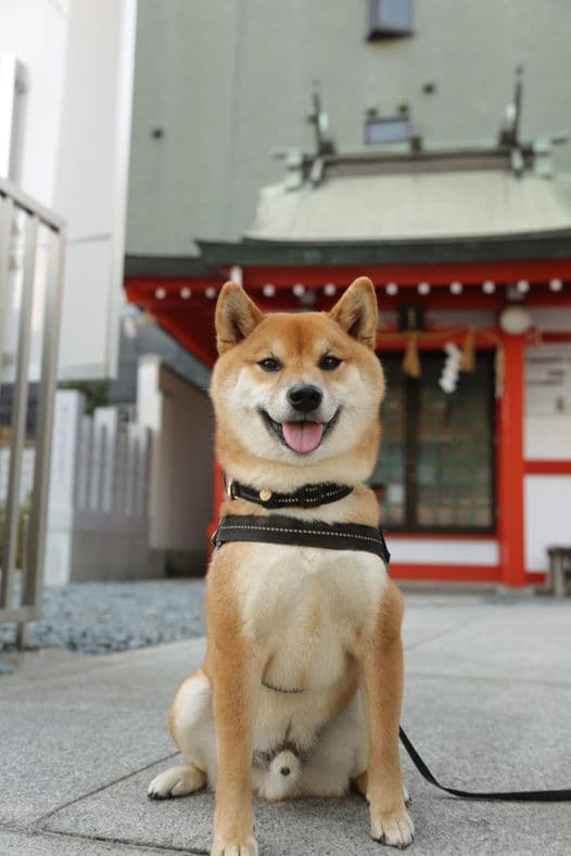 提供：カンさん