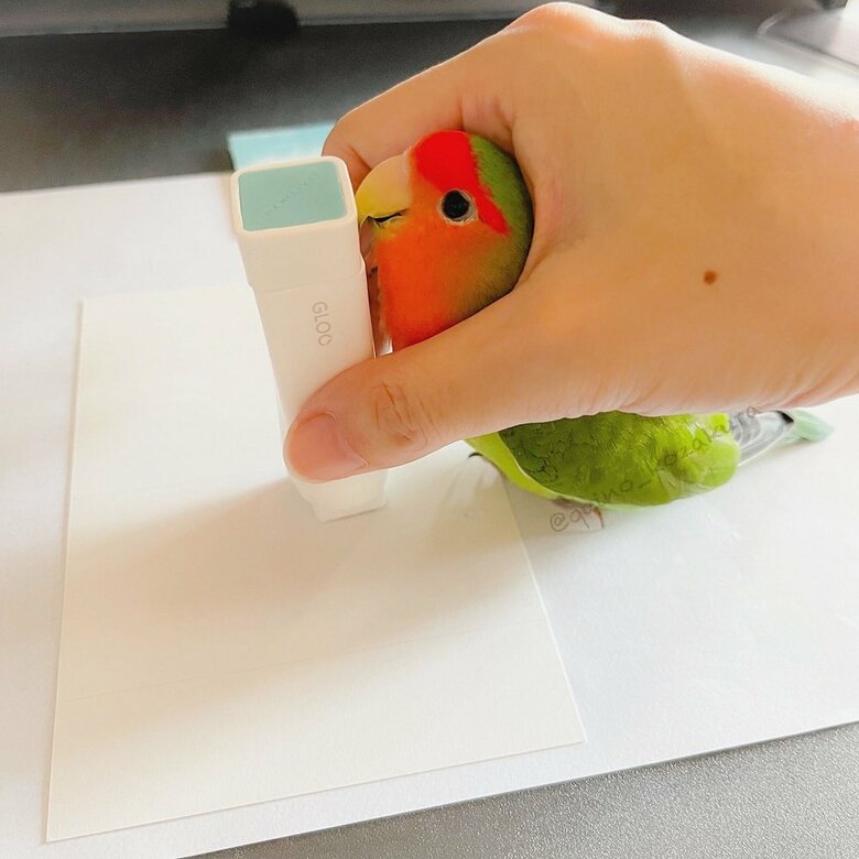 のりと手の隙間にぴとっ