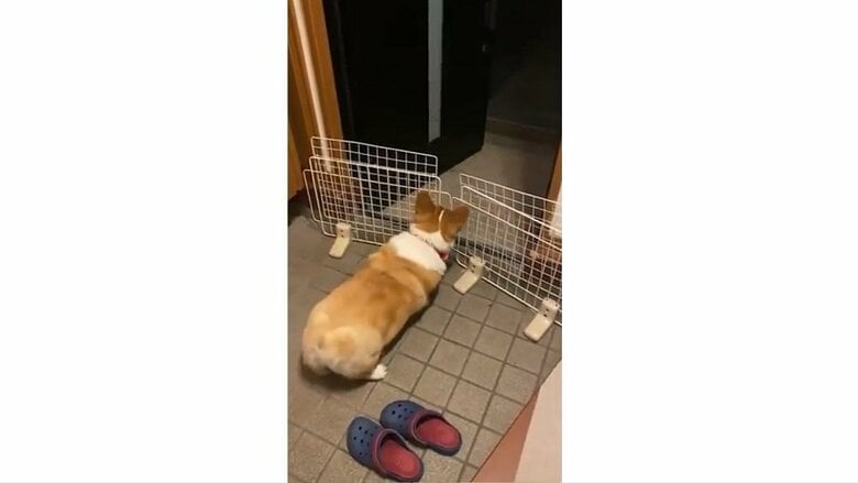 扉が開くも「…いない？」