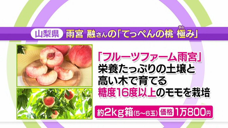 「てっぺんの桃 極み」約2kg箱（5～6玉）1万800円