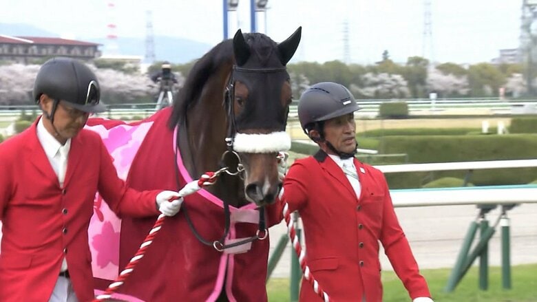 4月7日 桜花賞を制した ステレンボッシュ