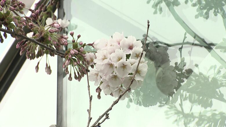 大通公園4丁目の地下鉄出入口