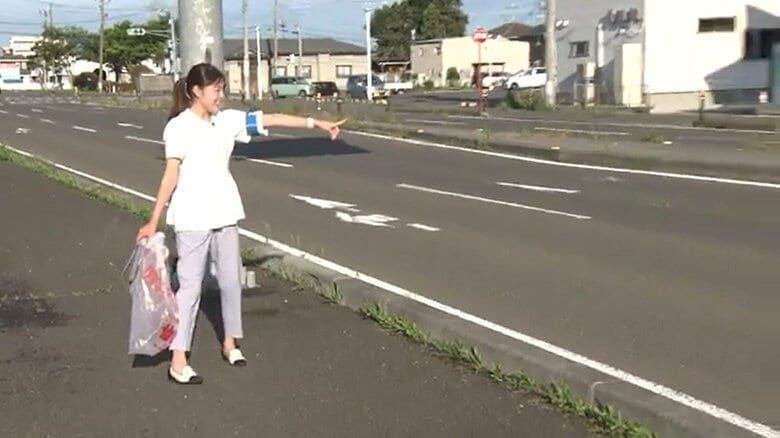 中央分離帯を探してみると…