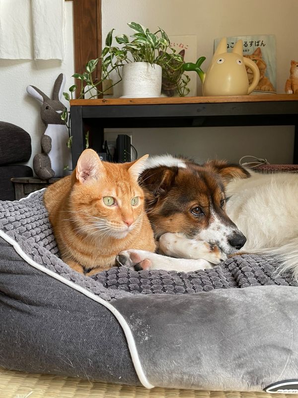 提供：naomiさん