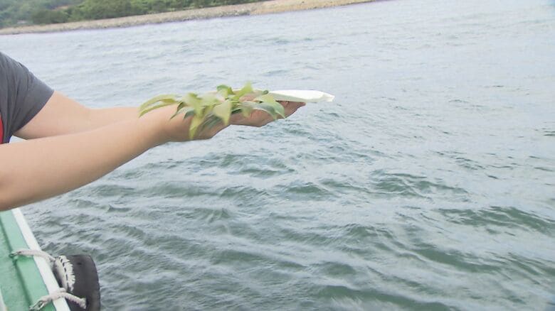 関門海峡の沖合で行う「海洋散骨」も展開