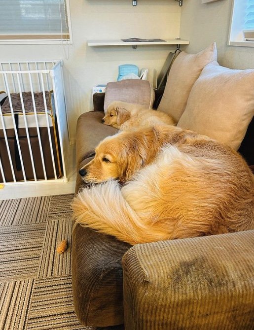 提供：efrinmanさん