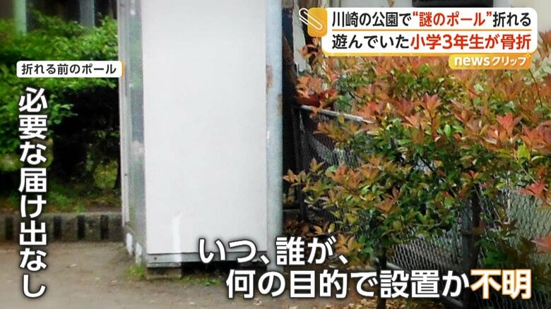 折れる前のポール（写真提供：川崎市）