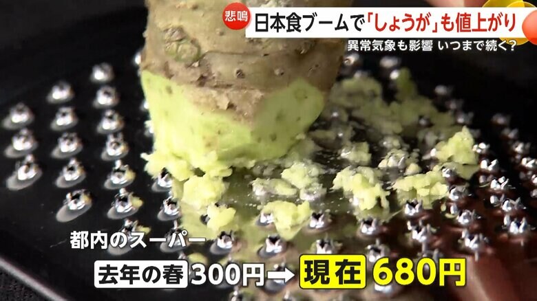 夏から徐々に価格が上昇しているわさび