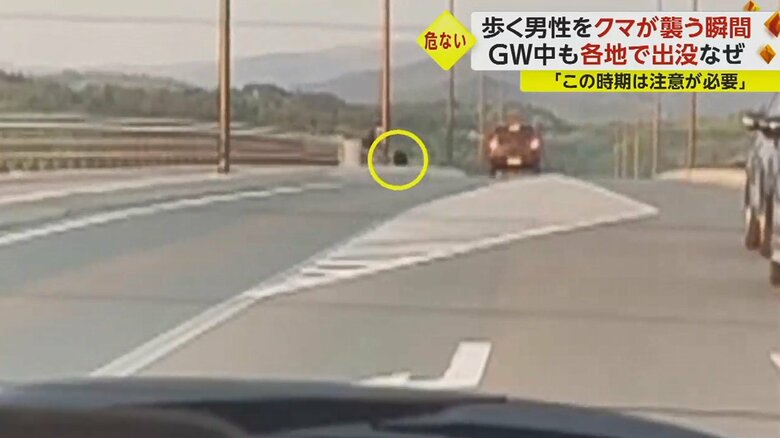 クマが、歩道の男性に近づいているのが分かる。