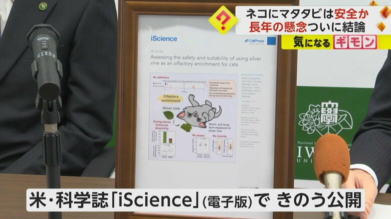 米の科学雑誌「iScience」（電子版）でも、28日に結果を公開