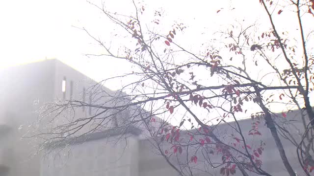 「初雪」を長崎市で観測 平年より14日、昨シーズンより6日遅く 日中も厳しい寒さに