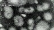 インフルエンザの感染拡大が止まらず…早くも「警報」発表　過去10年で最速　学級閉鎖も相次ぐ　福井　　
