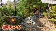 登山道に“謎”の落書き　福岡・嘉穂アルプス山中に約120カ所　遭難の危険も