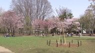 【札幌のサクラ】開花が早まり名所の円山公園では花見期間前倒しも…かつてはジンギスカンが風物詩だったが今年も“火気使用禁止”に…かわって注目の“デパ地下グルメ” 弁当やスイーツが人気