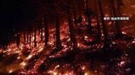 【山火事】「雨に消してもらうしかない」市の面積の8％の約2600ヘクタール焼失　佐々木朗希投手が1000万円を寄付　岩手・大船渡市