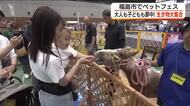100種類の生き物大集合！　“ペットフェス”開催＜福島県福島市＞