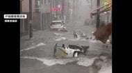 去年の戸越銀座の冠水、原因は“障害物”　「従来と明らかに違うパターン」と専門家