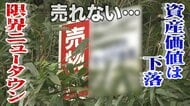 「限界ニュータウン」新築時2600万円が113万円 「だまされたとは思わないけど…」 “バブル期”開発 街から離れ、病院も学校もなく