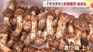 ＜マツタケの季節＞香り・味も上々！　本格販売始まる・11月上旬まで　マツタケご飯も好評　山形・高畠町