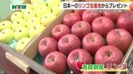 「リンゴをもっと知って食べてほしい」 日本一の生産地から小学校にプレゼント 地元JAが消費拡大へ 