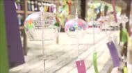 きょうは7月7日　神社では風鈴の音色と共に七夕祈願祭　幼稚園では子どもたちが願い事　【福島発】