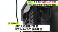 去年の被害額は100万円相当…桃の産地で収穫シーズンを前に防犯カメラ設置 リアルタイムで映像を確認可能
