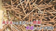 数年前から？カルスト台地で有名な「平尾台」に大量のクギ散乱…住民からは困惑の声【福岡発】