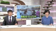 『アミュプラザくまもと』県内初出店の雑貨店の開店準備に密着(熊本)