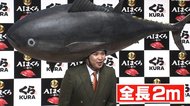 ミルクボーイ“巨大マグロ”姿でディスタンス?重すぎてネタも飛んだ…鈴木唯アナに意味深発言「また家に来て」って!?